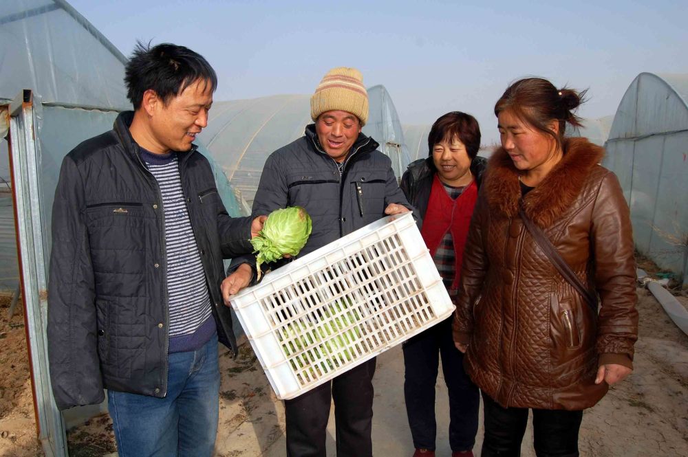 郭家岔村委會(huì)最新人事任命,郭家岔村委會(huì)最新人事任命，引領(lǐng)村莊走向新的發(fā)展階段