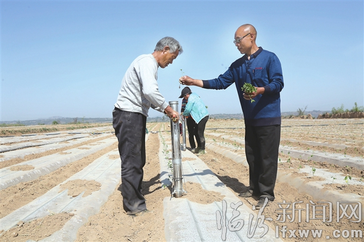 山西省臨汾市浮山縣槐埝鄉(xiāng)最新新聞,山西省臨汾市浮山縣槐埝鄉(xiāng)最新新聞概覽