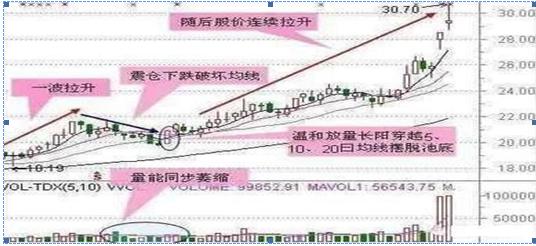 芝麻價(jià)格最新行情,芝麻價(jià)格最新行情分析