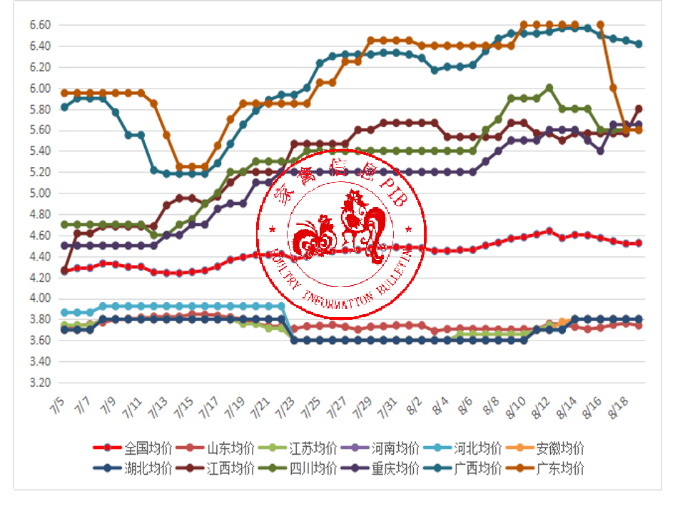 今日鴨最新價格,今日鴨最新價格，市場分析、影響因素及未來趨勢